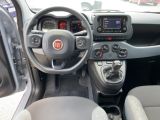 Fiat Panda bei Gebrauchtwagen.expert - Abbildung (11 / 15) Fiat Panda bei Gebrauchtwagen.expert - Abbildung (11 / 15)