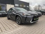Lexus UX bei Gebrauchtwagen.expert - Abbildung (6 / 15)