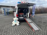VW T6 bei Gebrauchtwagen.expert - Abbildung (7 / 15)