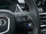 Audi SQ5 bei Gebrauchtwagen.expert - Abbildung (13 / 15)