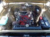 Dodge Charger bei Gebrauchtwagen.expert - Abbildung (13 / 15)