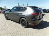 Mazda CX-60 bei Gebrauchtwagen.expert - Abbildung (11 / 13)