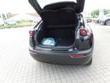 Mazda MX-30 bei Gebrauchtwagen.expert - Abbildung (7 / 12)