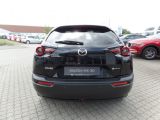 Mazda MX-30 bei Gebrauchtwagen.expert - Abbildung (4 / 12)