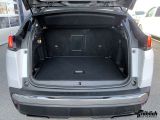 Peugeot 3008 bei Gebrauchtwagen.expert - Abbildung (15 / 15)