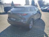 Mazda CX-30 bei Gebrauchtwagen.expert - Abbildung (5 / 15)