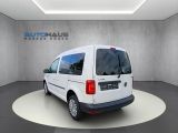 VW Caddy bei Gebrauchtwagen.expert - Abbildung (3 / 15)