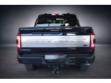 Ford F bei Gebrauchtwagen.expert - Abbildung (7 / 15)