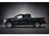 Ford F bei Gebrauchtwagen.expert - Abbildung (4 / 15)
