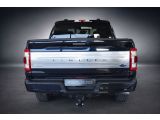 Ford F bei Gebrauchtwagen.expert - Abbildung (7 / 15)