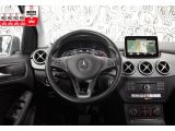 Mercedes-Benz B-Klasse bei Gebrauchtwagen.expert - Abbildung (9 / 15)