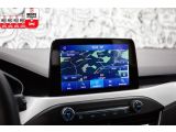 Ford Focus Turnier bei Gebrauchtwagen.expert - Abbildung (14 / 15)