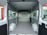 Fiat Ducato bei Gebrauchtwagen.expert - Abbildung (11 / 14)