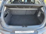 Kia Stonic bei Gebrauchtwagen.expert - Abbildung (15 / 15)