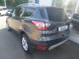 Ford Kuga bei Gebrauchtwagen.expert - Abbildung (5 / 15)