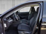 Skoda Octavia bei Gebrauchtwagen.expert - Abbildung (7 / 15)
