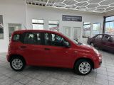 Fiat Panda bei Gebrauchtwagen.expert - Abbildung (5 / 15) Fiat Panda bei Gebrauchtwagen.expert - Abbildung (5 / 15)