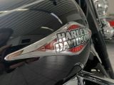Harley-Davidson Softail bei Gebrauchtwagen.expert - Abbildung (4 / 12)