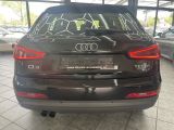 Audi Q3 bei Gebrauchtwagen.expert - Abbildung (3 / 15)