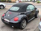 VW New Beetle bei Gebrauchtwagen.expert - Abbildung (6 / 15) VW New Beetle bei Gebrauchtwagen.expert - Abbildung (6 / 15)