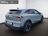 Renault Andere bei Gebrauchtwagen.expert - Abbildung (12 / 15) Renault Andere bei Gebrauchtwagen.expert - Abbildung (12 / 15)