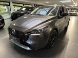 Mazda 2 bei Gebrauchtwagen.expert - Abbildung (3 / 15)