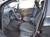 Ford EcoSport bei Gebrauchtwagen.expert - Abbildung (8 / 15)