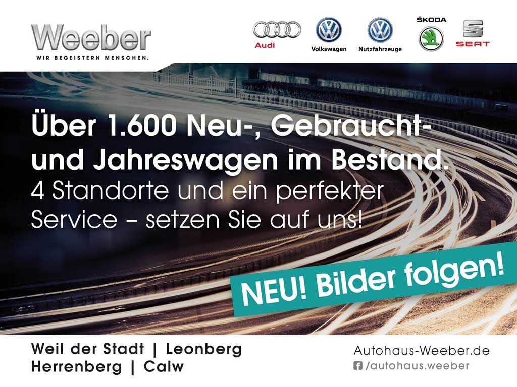 VW Golf VIII bei Gebrauchtwagen.expert - Hauptabbildung