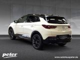 Opel Grandland X bei Gebrauchtwagen.expert - Abbildung (6 / 15)