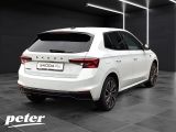 Skoda Fabia bei Gebrauchtwagen.expert - Abbildung (9 / 15) Skoda Fabia bei Gebrauchtwagen.expert - Abbildung (9 / 15)