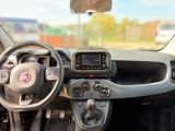Fiat Panda bei Gebrauchtwagen.expert - Abbildung (11 / 15) Fiat Panda bei Gebrauchtwagen.expert - Abbildung (11 / 15)
