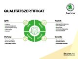 Skoda Octavia bei Gebrauchtwagen.expert - Abbildung (14 / 15)