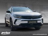 Opel Grandland X bei Gebrauchtwagen.expert - Abbildung (2 / 10)
