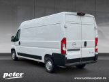Opel Movano bei Gebrauchtwagen.expert - Abbildung (5 / 15)