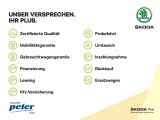 Skoda Scala bei Gebrauchtwagen.expert - Abbildung (6 / 15) Skoda Scala bei Gebrauchtwagen.expert - Abbildung (6 / 15)