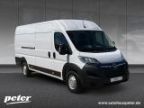 Opel Movano bei Gebrauchtwagen.expert - Abbildung (2 / 15)