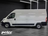 Opel Movano bei Gebrauchtwagen.expert - Abbildung (3 / 15)
