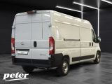 Opel Movano bei Gebrauchtwagen.expert - Abbildung (4 / 15)