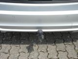 Ford Focus bei Gebrauchtwagen.expert - Abbildung (14 / 15)