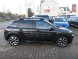 Citroen C4 Cactus bei Gebrauchtwagen.expert - Abbildung (8 / 15)