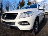 Mercedes-Benz M-Klasse bei Gebrauchtwagen.expert - Abbildung (2 / 15)