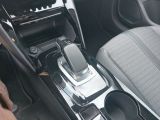 Peugeot 208 bei Gebrauchtwagen.expert - Abbildung (13 / 15)