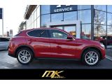 Alfa Romeo Stelvio bei Gebrauchtwagen.expert - Abbildung (3 / 10)