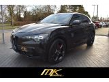 Alfa Romeo Stelvio bei Gebrauchtwagen.expert - Abbildung (3 / 10)