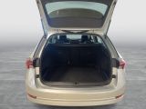 Skoda Octavia bei Gebrauchtwagen.expert - Abbildung (11 / 15) Skoda Octavia bei Gebrauchtwagen.expert - Abbildung (11 / 15)