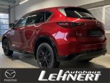 Mazda CX 5 bei Gebrauchtwagen.expert - Abbildung (2 / 7)