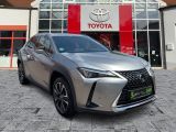 Lexus UX bei Gebrauchtwagen.expert - Abbildung (8 / 15) Lexus UX bei Gebrauchtwagen.expert - Abbildung (8 / 15)