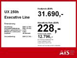Lexus UX bei Gebrauchtwagen.expert - Abbildung (5 / 15)