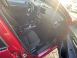 Mazda 2 bei Gebrauchtwagen.expert - Abbildung (5 / 15)