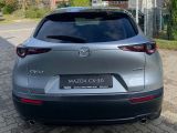 Mazda CX-30 bei Gebrauchtwagen.expert - Abbildung (6 / 15)